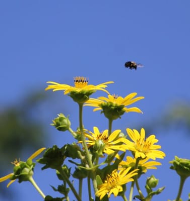 Kendal-Crosslands Communities