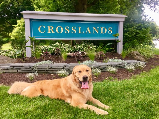 A golden retriever resting in front of a facility sign.