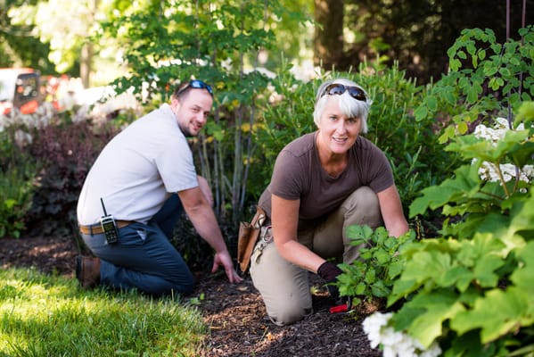 Staff gardening in an outdoor area