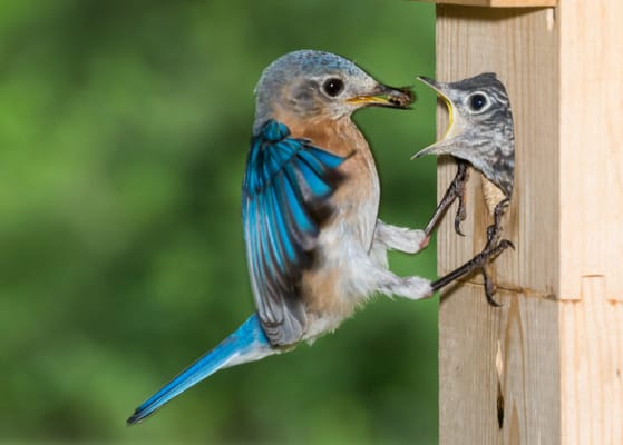 Kendal-Crosslands Communities