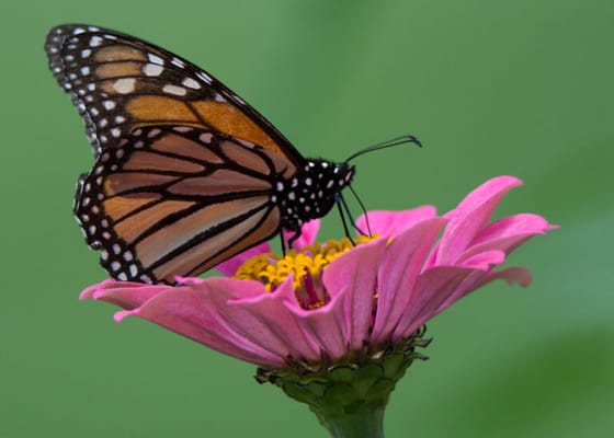 Kendal-Crosslands Communities