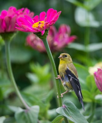 Kendal-Crosslands Communities