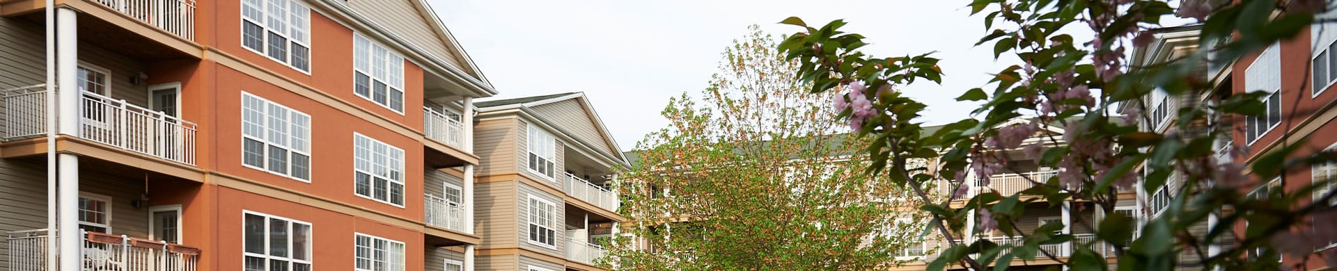 Exterior view of a senior living facility surrounded by greenery