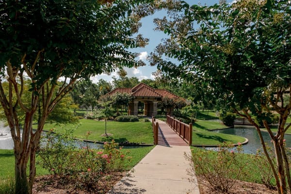 Walking path surrounded by greenery leading to a building