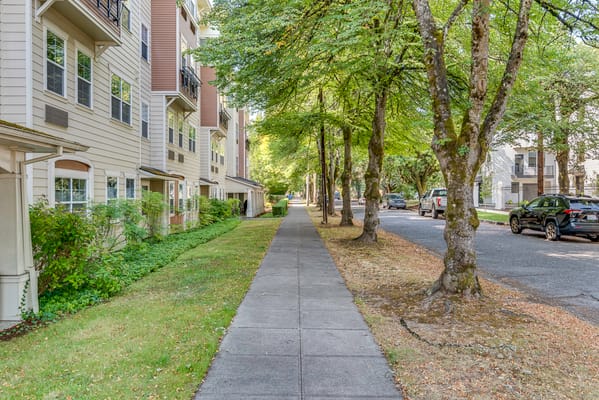 Tree-lined walkway beside the building at Sellwood Senior Living