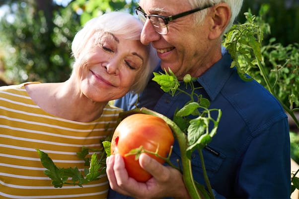 Volante Senior Living of Hanover