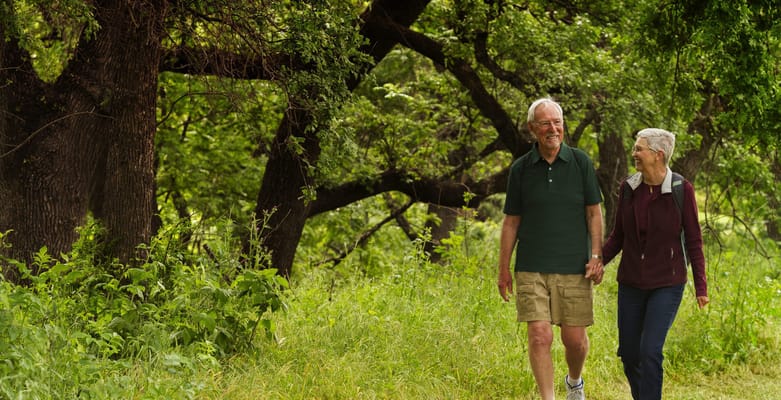 Paradise Valley Estates