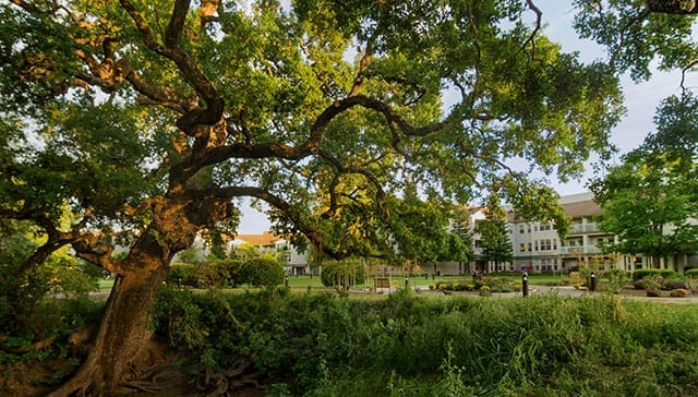 Paradise Valley Estates