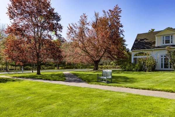 Scenic outdoor view of landscaped grounds with trees