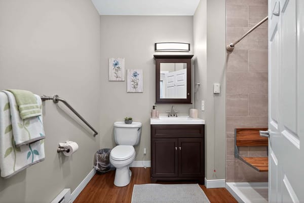Modern assisted living bathroom with grab bars