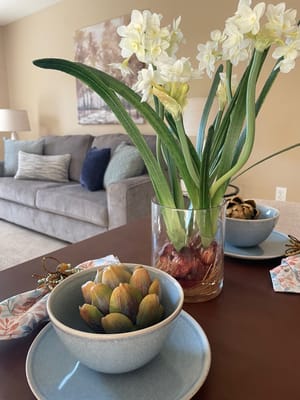 Ohio Living Mount Pleasant