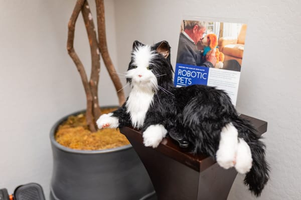 Minnie Lee’s Senior Home Care