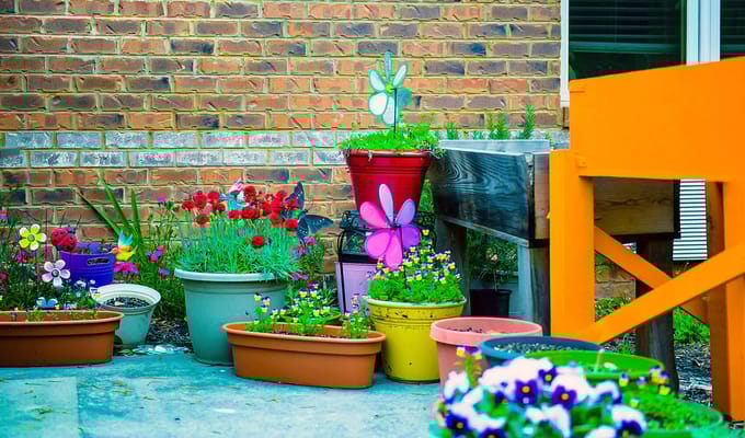 Colorful flower pots in a garden area
