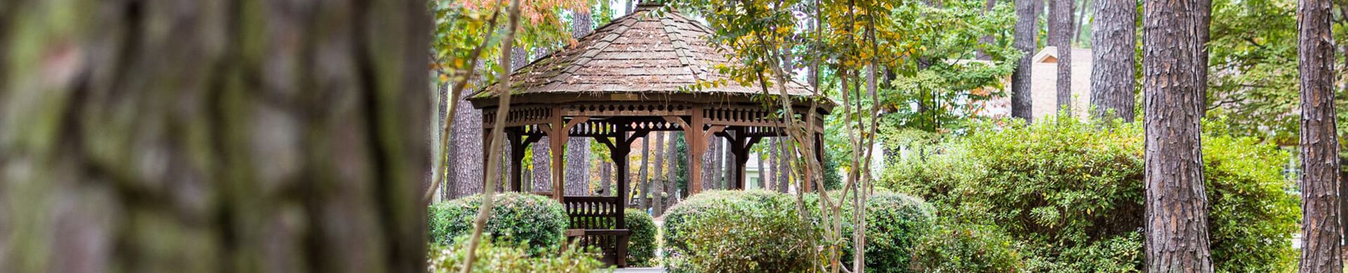Gazebo surrounded by greenery in an outdoor space