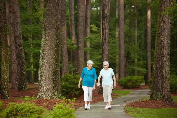Two elderly women walking together in a serene outdoor setting