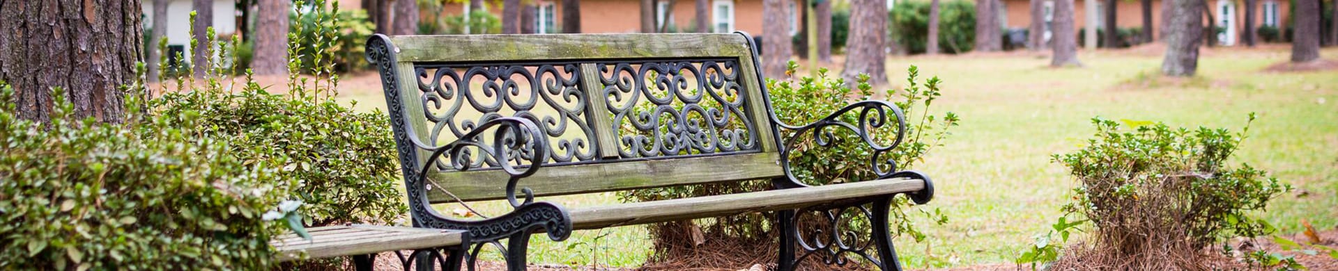 Outdoor bench in a landscaped area