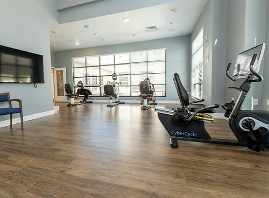 The Village at Sugar Land