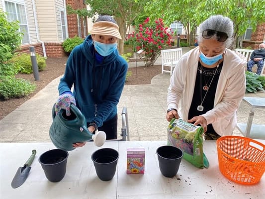 Residents gardening outdoors in a sunny area