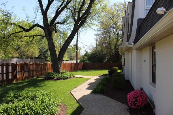Pathway leading through a landscaped outdoor space