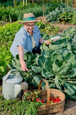 Resident tending to a vibrant vegetable garden