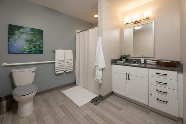 Well-equipped bathroom in a senior living facility