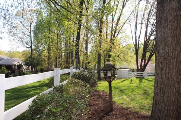 Beautiful outdoor space with trees and a white fence