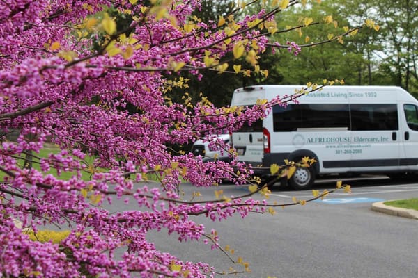 Flowering trees with a facility van in the background