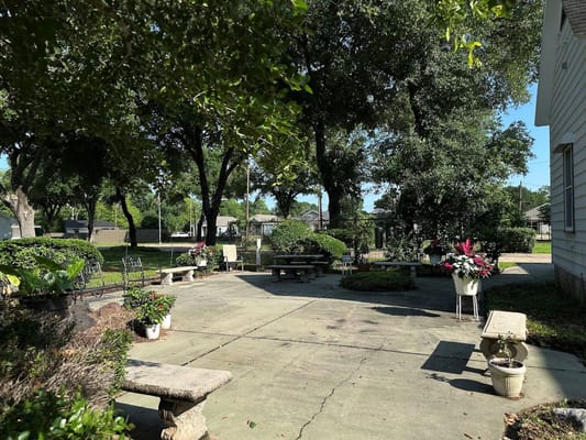 Outdoor patio area with plants and seating