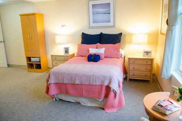 Companion Suite