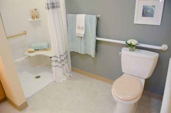 Companion Suite