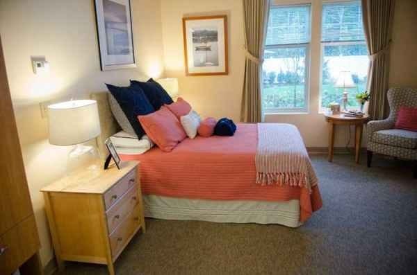 Companion Suite