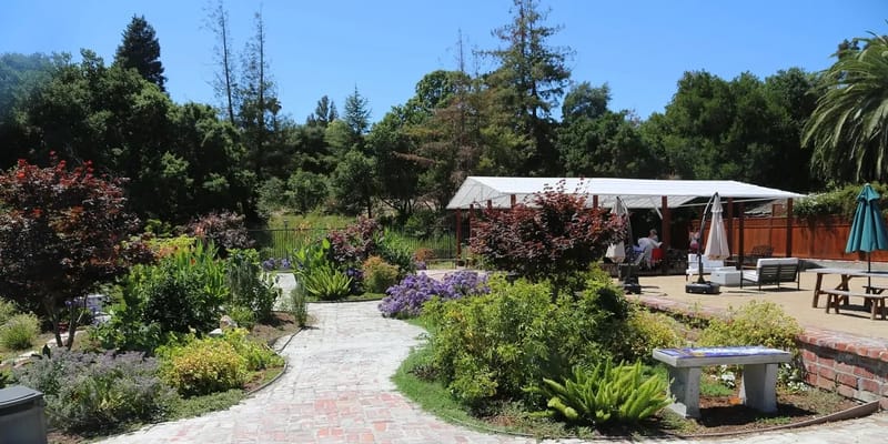 Beautiful garden path with flowers and seating area