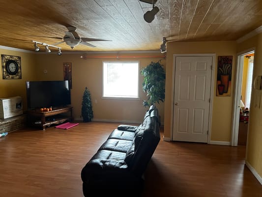 A spacious living room with a black couch, TV, and decorative plants.