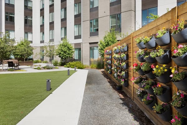Garden path featuring a wall of flower pots beside a grassy area