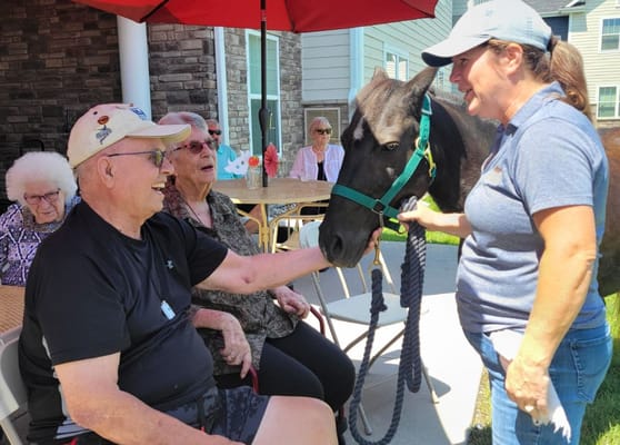 Residents interacting with a horse during an outdoor event