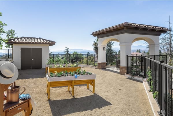 Outdoor garden space with raised planter beds