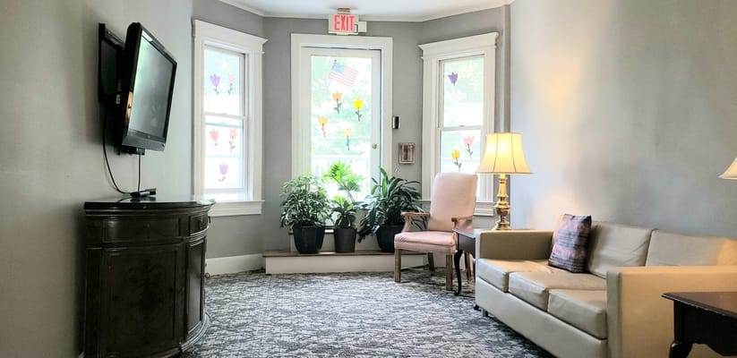 Comfortable living room with plants and natural light