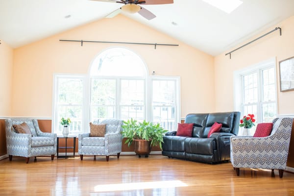 Bright living room with comfortable seating and plants