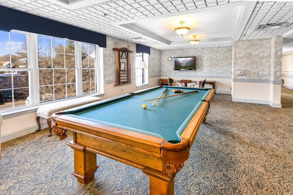 Interior view of a billiard room with a pool table