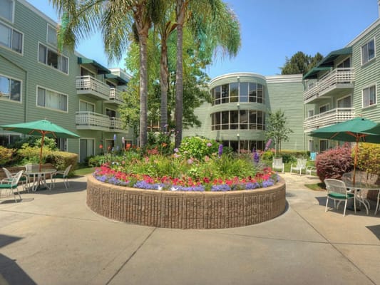 Beautiful outdoor courtyard with flowers and seating