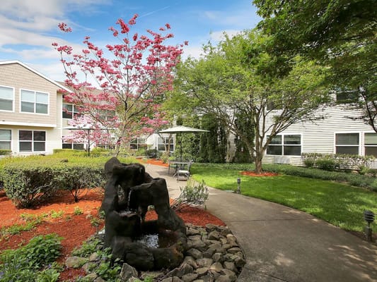 A landscaped outdoor area with flowering trees and seating