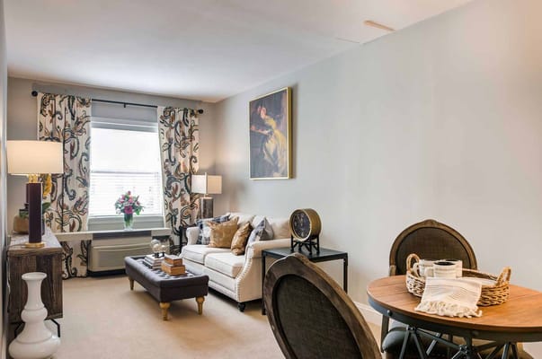 Living room area with a sofa, dining table, and decorative elements