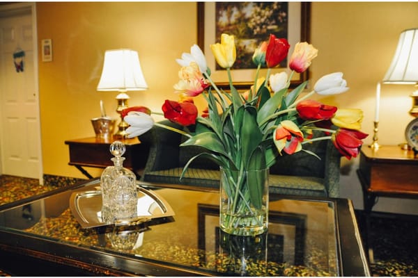 A vase of colorful tulips on a coffee table in a living room