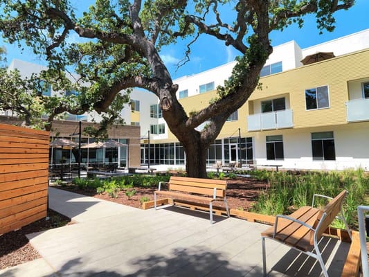 A peaceful outdoor courtyard with benches and a large oak tree at The Avant senior living facility.