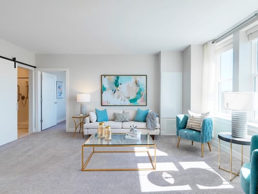 Bright and airy living room with modern furnishings