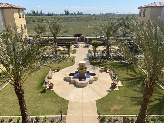 Well-maintained courtyard with a fountain and palm trees