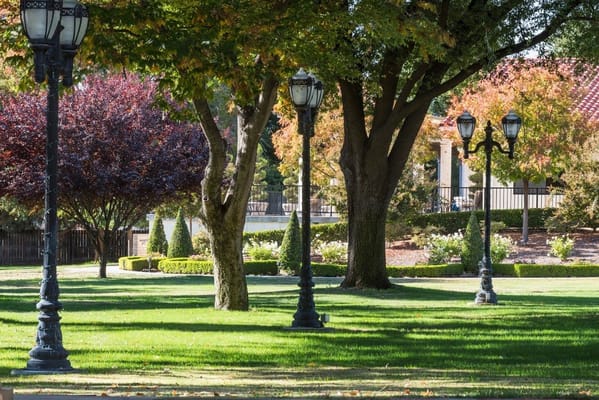 Lush green gardens with lampposts at The Vineyards retirement community.