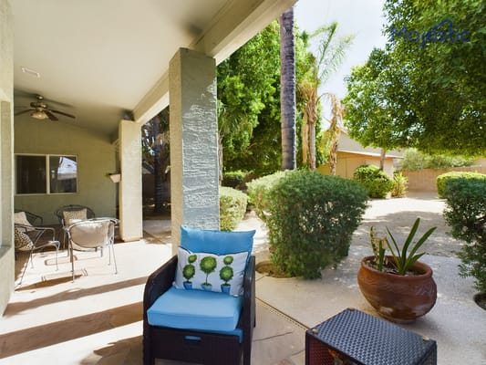 Outdoor space with seating and plants