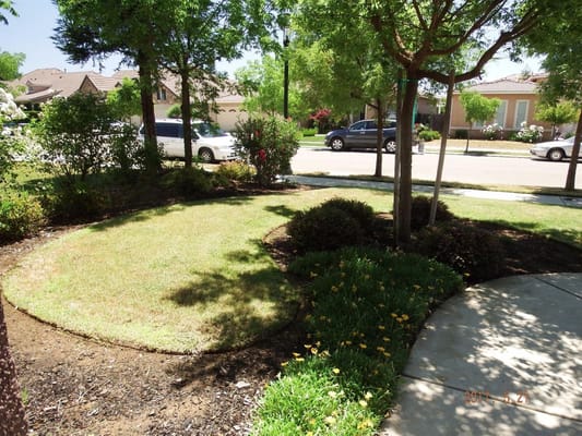 Well-maintained outdoor garden space with grass and shrubs