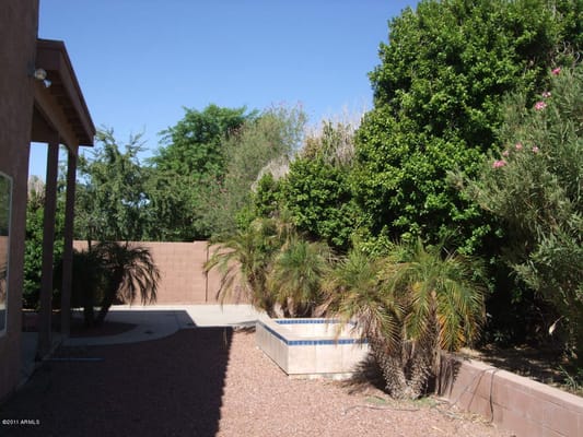 Quiet patio area with garden plants